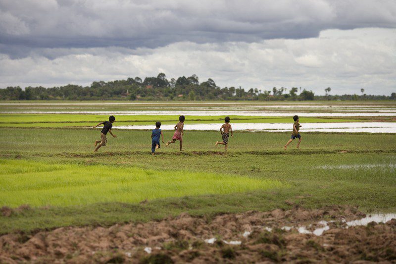 Rice-planting time in the great Mekong flood plain.