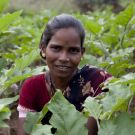 Oxfam Australia | It all begins with land Oxfam Australia | It all begins with land