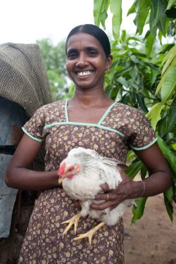 Indrani with one of her chickens. Photo: Tom Greenwood/OxfamAUS