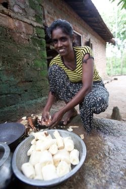 Chandrani peels some of her home-grown manioc. Photo: Tom Greenwood/OxfamAUS