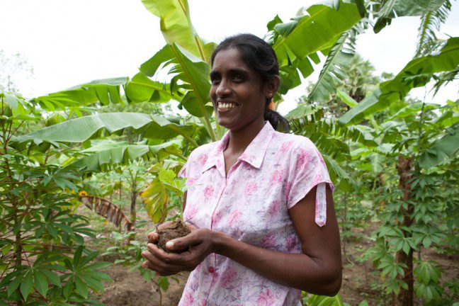 Oxfam Australia | Stopping hunger in Sri Lanka: Chandrani’s story (part 1) Oxfam Australia | Stopping hunger in Sri Lanka: Chandrani’s story (part 1)