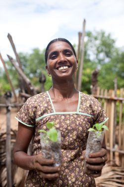 Indrani holds some of her seedlings. Photo: Tom Greenwood/OxfamAUS