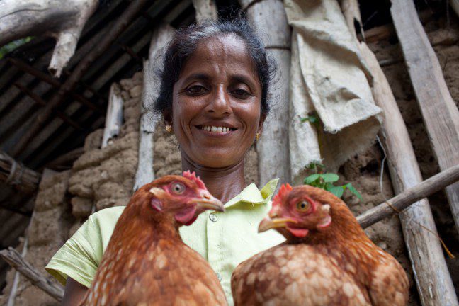 Oxfam Australia | Stopping hunger in Sri Lanka: Sundaradevi’s story (part 2)