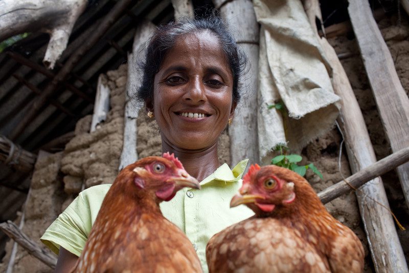 Sundaradevi holds two of her chickens. Photo: Tom Greenwood/OxfamAUS