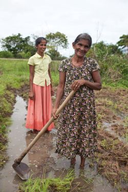 Sundaradevi and fellow SRI farmer Thevani. Photo: Tom Greenwood/OxfamAUS