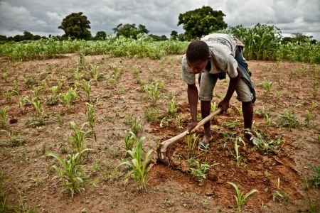 A young farmer working an unrehabilitated millet field. Photo: Pablo Tosco/Oxfam