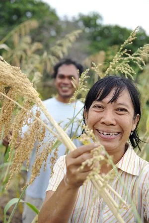 Maria Loretha with her husband Jeremias Letor on their farm. Photo: Lara McKinley/OxfamAUS