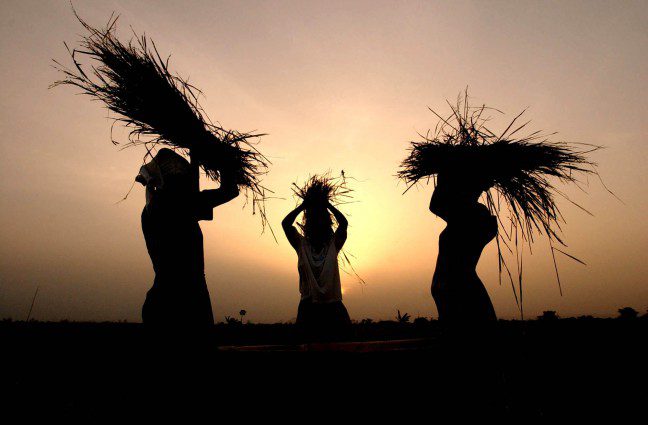 Oxfam Australia | Time to stop the global land rush Oxfam Australia | Time to stop the global land rush