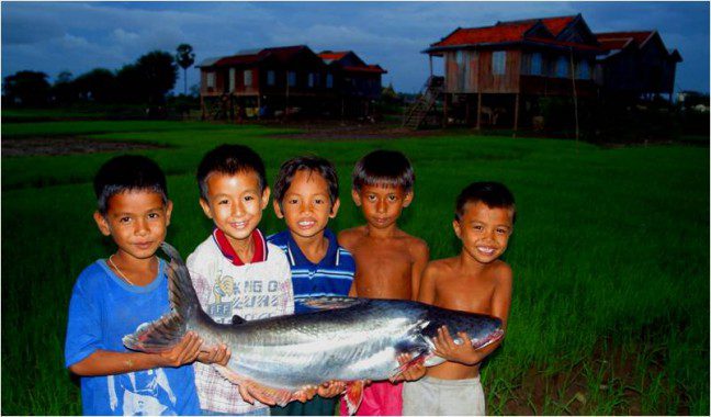 Oxfam Australia | Improving transboundary water governance in the Mekong
