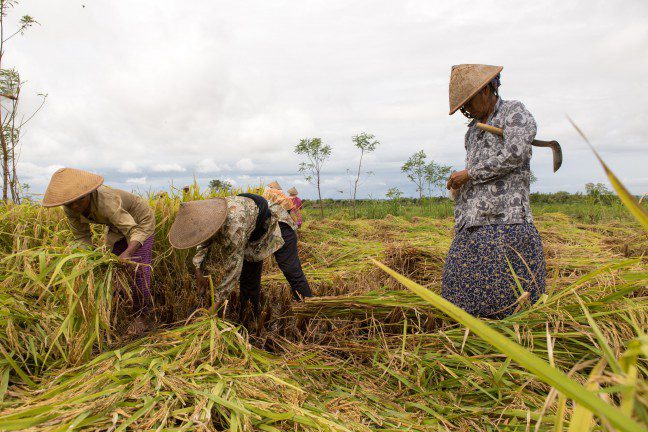 Oxfam Australia | Promoting sustainable farming