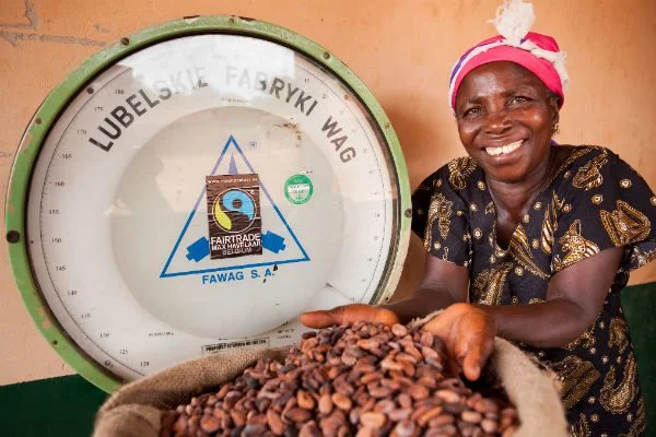 Afia Hawah (58) weighs 2012’s crop of dried cocoa beans in Amankwatia village in the Central Region of Ghana. “I can say that my life really improved a lot when I joined Kuapa Kokoo. Now there is no cheating, at the end of the year we all come together and sit with the recorder to know how much profits we made.” Photo: Cam Cope/Oxfam AUS Photo: Cam Cope/Oxfam AUS