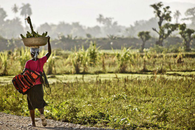 Oxfam Australia | Who's carrying the budget burden? Oxfam Australia | Who's carrying the budget burden?