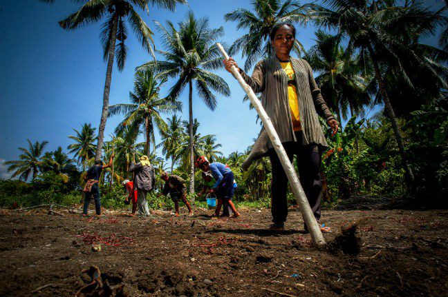 Oxfam Australia | Rising inequality hits home for Australia