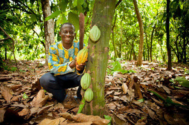 Why you should switch to Fairtrade chocolate this Easter