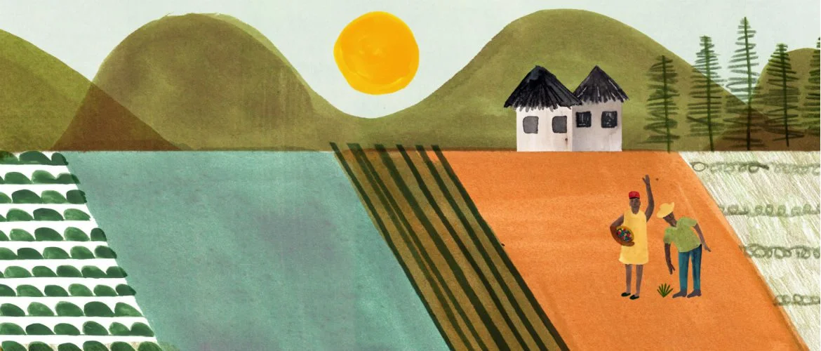 <em> The lush and modern veggie gardens card: a gift that can feed a family for the long-term.</em><br /> By Marc Martin