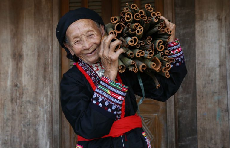 94 year old cinnamon farmer Vietnam
