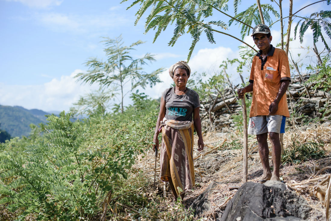 “Even when we try to work, we are just in the middle of the day and then we fall down again.” – Maria, Oecusse, Timor-Leste