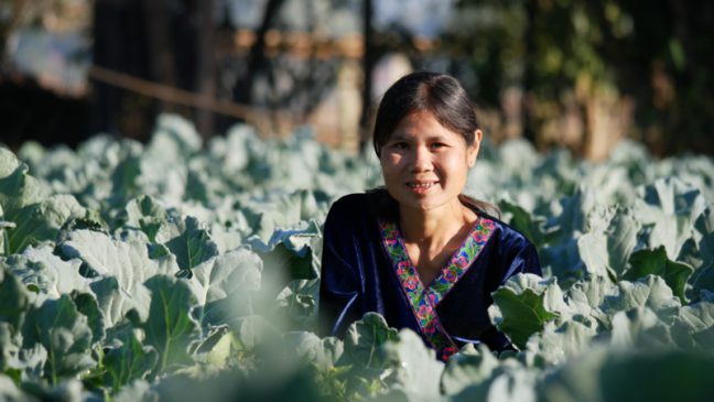 Oxfam Australia | Leading the way along the Salween River