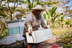 Empowering women beekeepers to make a sustainable living – Oxfam in PNG