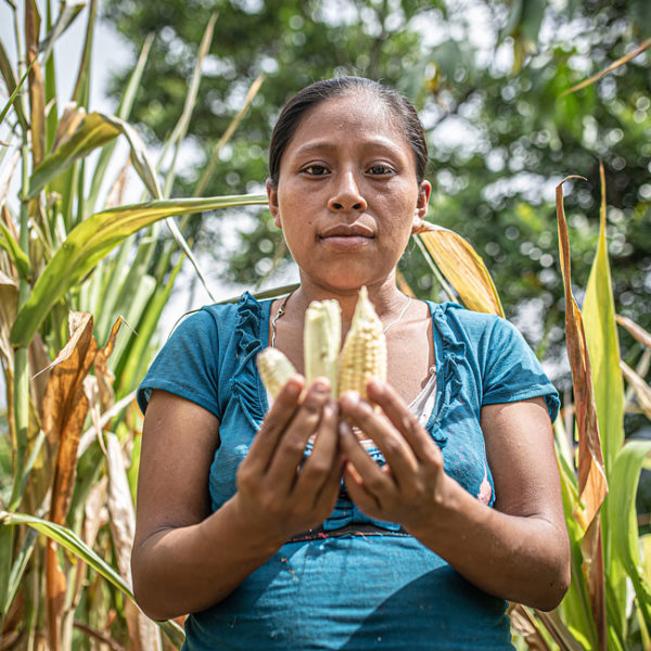 Grow hope for families in Guatemala - Lyn