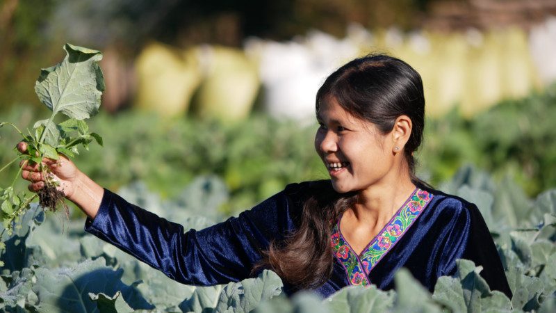 A smiling woman tends to crops