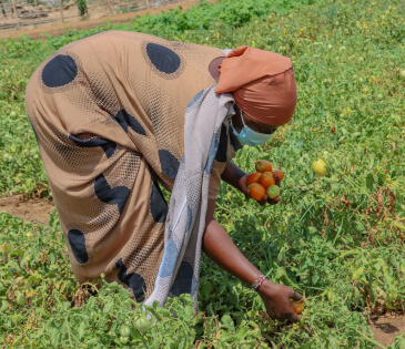 Oxfam Australia | Hunger crisis