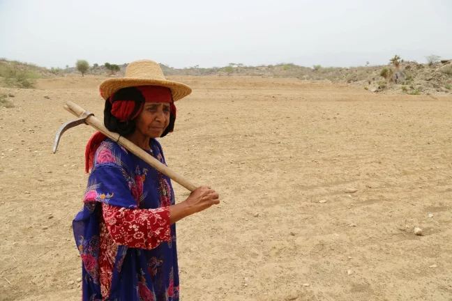 Oxfam Australia | Yemen: Cash transfers in Aslam district supporting drought-hit families