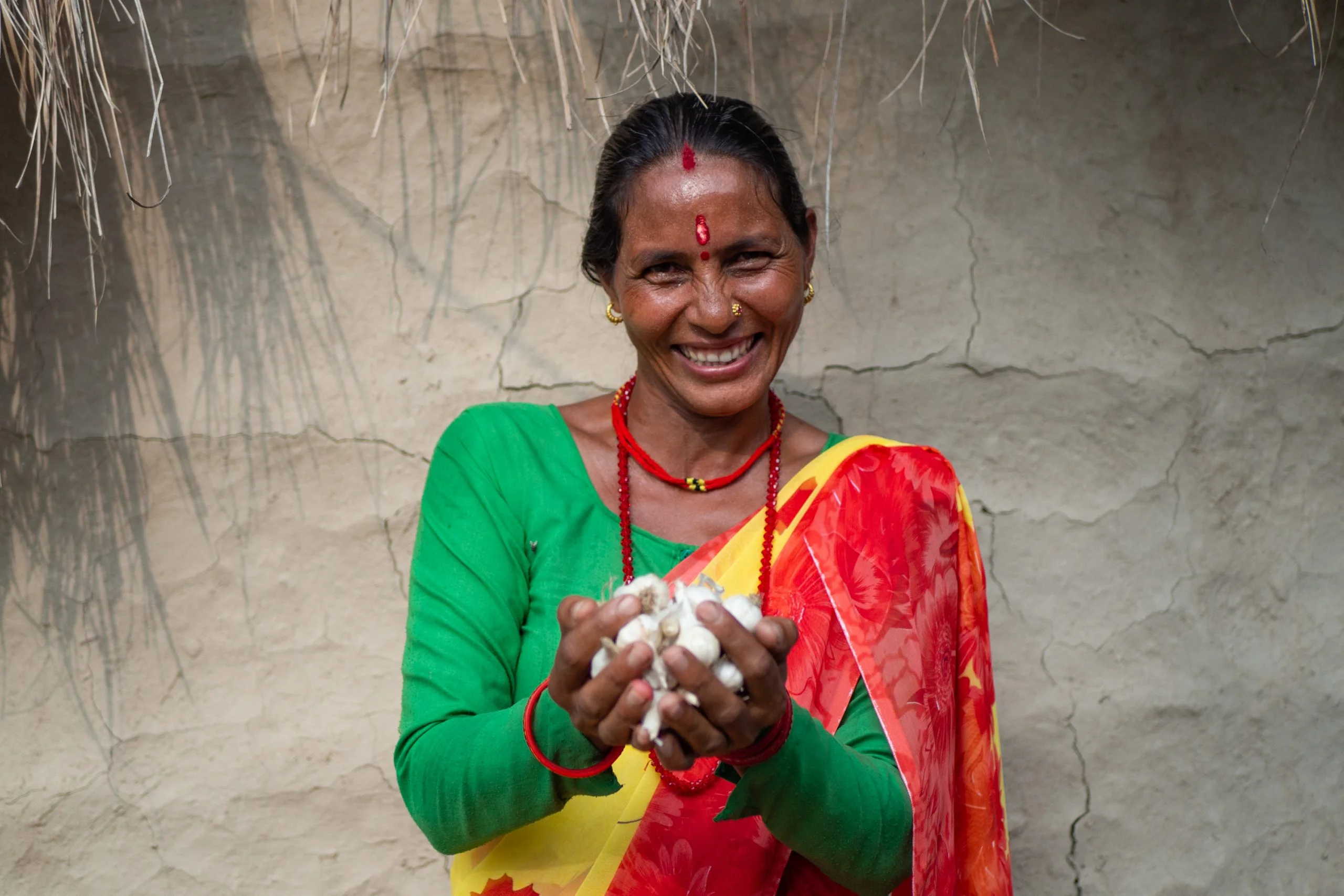 Nepal: Bimala Devi Bhatta holds garlic grown by members of her community’s women’s group.
Oxfam and partner NEEDS have supported the group with trainings and provided technical assistance for the garlic project. The women have led efforts to reduce disaster risks and bring essential services to their community. SEE related story files Bimala Devi Bhatta holds garlic grown by members of her community’s women’s group.
